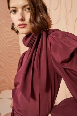Chic Clothing Store -Chic Clothing Store ULLA JOHNSON Brea Blouse MAHOGANY 0053
