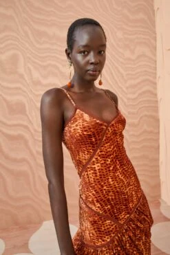 ULLA JOHNSON Elodie Dress - Sienna -Chic Clothing Store ULLA JOHNSON Elodie Dress SIENNA 0112