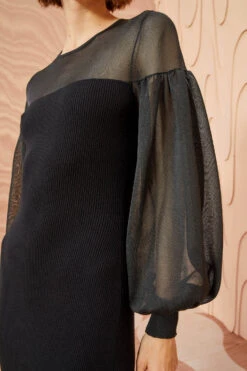 Chic Clothing Store -Chic Clothing Store ULLA JOHNSON Milla Dress NOIR 02 ALT